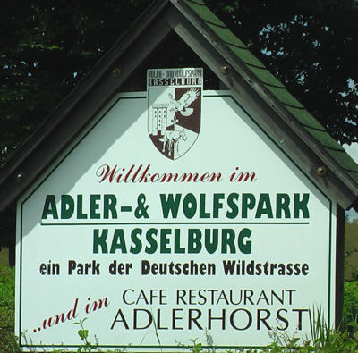 Adler und Wolfspark Kasselburg